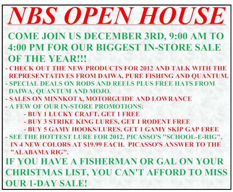 FLYERNOV11B